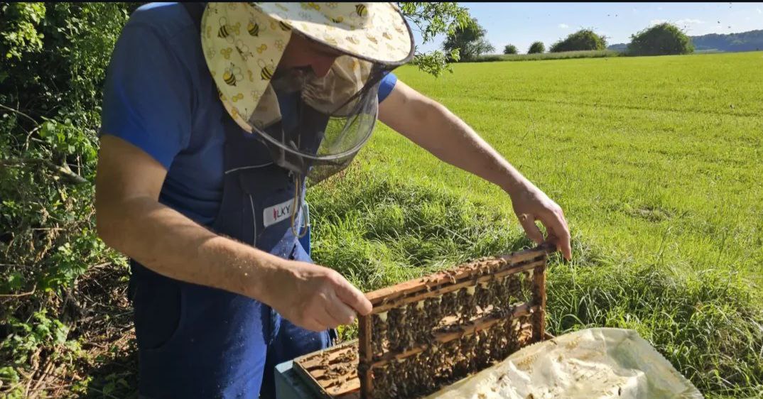 Imker Eugen bei der Arbeit in Korbach